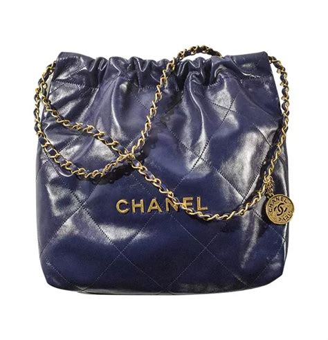 bag chanel|chanel new bag 2022.